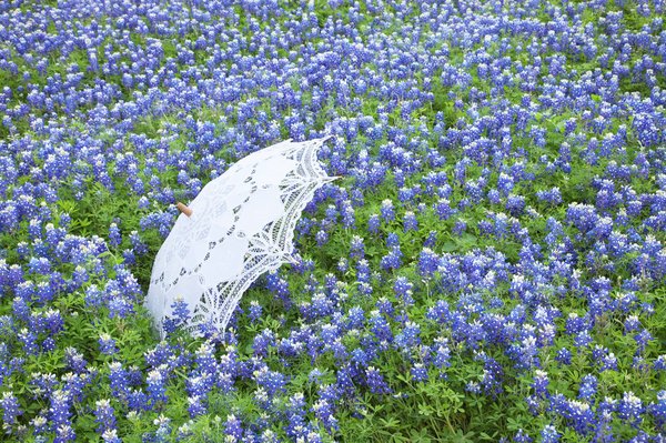 Les parasols professionnels pour restaurants : protections indispensables